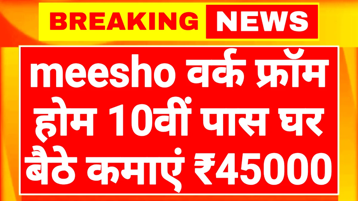 Meesho Work From Home 2026